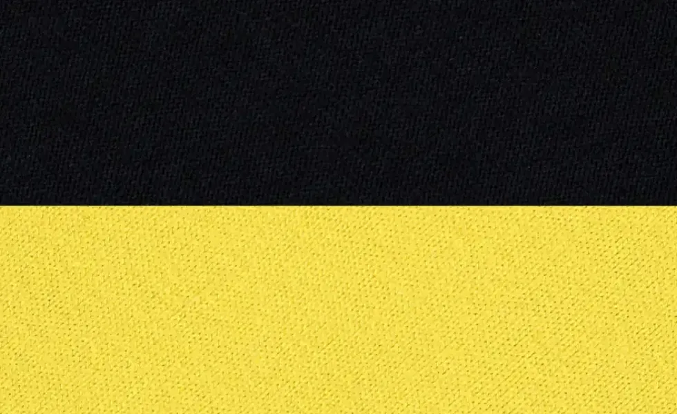 Alvi Schlafsack Player BVB 2025