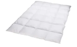Billerbeck Kassettendecke IV Belja 2.0 Edition