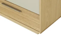 Dielenschrank