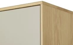 Dielenschrank