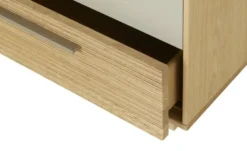 Dielenschrank