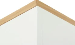 Dielenschrank