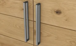 Dreamer Junges Wohnen Drehtürenschrank Dreamer