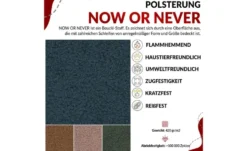 Ecksofa mit Schlaffunktion Peter