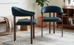 Esszimmerstuhl 2er-Set