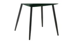Esszimmerstuhl 2er-Set