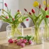 Französischer Tulpenbund