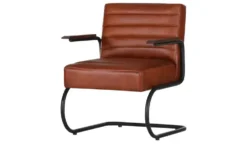 Freischwinger Sessel