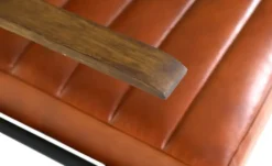 Freischwinger Sessel
