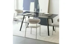 Furnhouse Esszimmerstuhl 2er-Set Diana