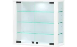 Hängevitrine