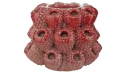 HOME STORY 3D Himbeeren Vase