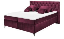 Kollektion Kraft Boxspringbett Pembroke