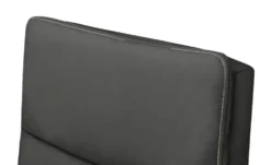 Kollektion Kraft Drehsessel aus Leder Franzi