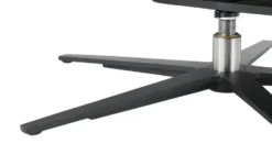 Kollektion Kraft Drehsessel Franzi