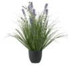 Lavendel getopft