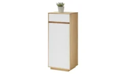 Mehrzweckschrank
