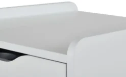 PAIDI Rollcontainer