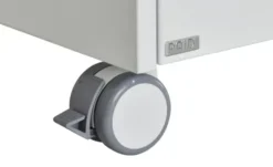 PAIDI Rollcontainer