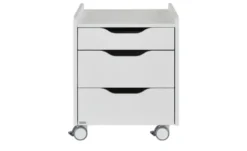 PAIDI Rollcontainer