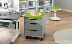 PAIDI Rollcontainer