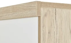 PAIDI Schiebetürenschrank Fionn