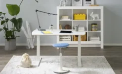 PAIDI Schreibtisch e-lion
