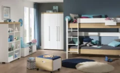 PAIDI Standregal
