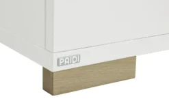 PAIDI Standregal