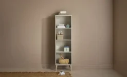 PAIDI Standregal