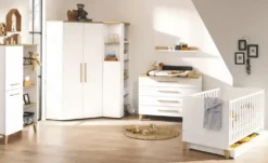 PAIDI Tür für Eckregal Oscar