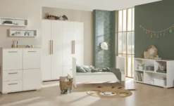 PAIDI Wandbox
