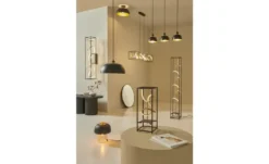 Paul Neuhaus LED-Deckenleuchte schwarz/goldfarben