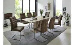 Polsterschwingstuhl 2er-Set in Leder-Optik