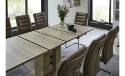 Polsterschwingstuhl 2er-Set in Leder-Optik