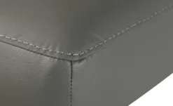 Primo Leder-Ecksofa Danae klein