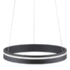Q-Smart Home Lights Pendelleuchte, 1-flammig, anthrazit