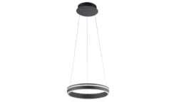 Q-Smart Home Lights Pendelleuchte, 1-flammig, anthrazit