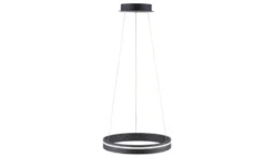 Q-Smart Home Lights Pendelleuchte, 1-flammig, anthrazit