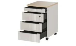 Rollcontainer
