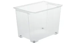 Rotho Aufbewahrungsbox EVO EASY
