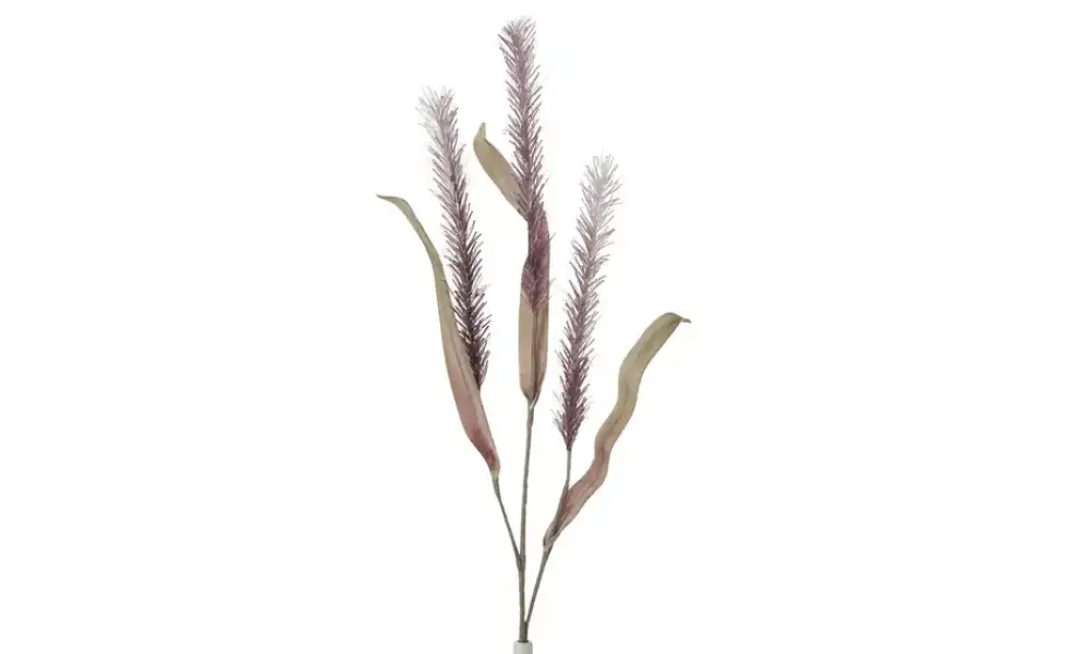 Soft Flower Liriope