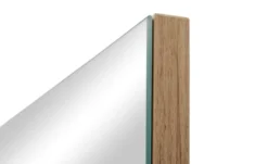 Spiegel 48 x 147 cm