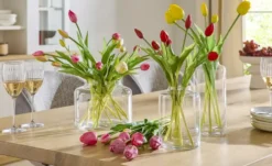 Tulpenbund, 7-fach