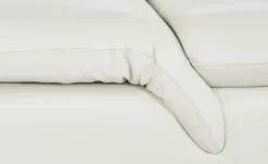 W.SCHILLIG Ledersofa